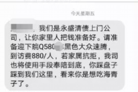 惠州为什么选择专业追讨公司来处理您的债务纠纷？